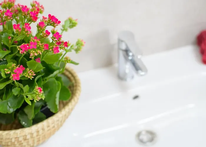 Casa Grumete, Moderno Y Actual *